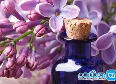 پادشاه روغن های گیاهی